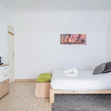 Petit Cronenbourg - Golden Tree - Wifi - 5 Min Gare De Apartment Straßburg